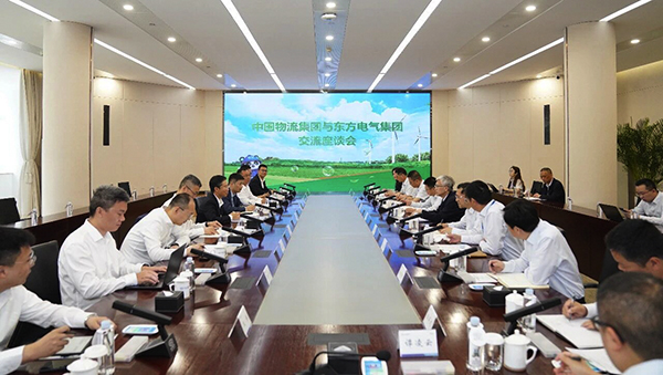 徐鸿与东方电气党组副书记、总经理张彦军举行工作会谈